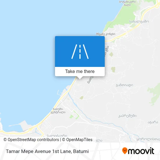 Tamar Mepe Avenue 1st Lane map