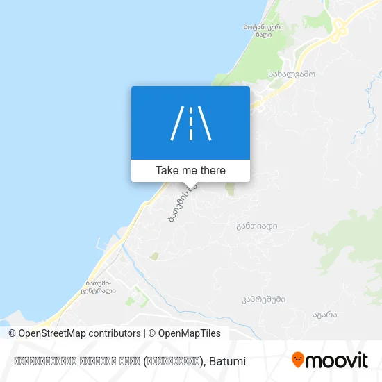 აღმაშენებელი დავითის ქუჩა (მახინჯაური) map