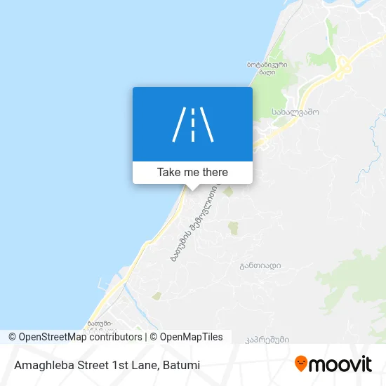 Amaghleba Street 1st Lane map