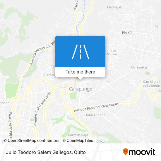 Julio Teodoro Salem Gallegos map