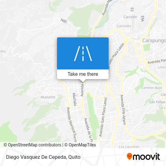 Diego Vasquez De Cepeda map