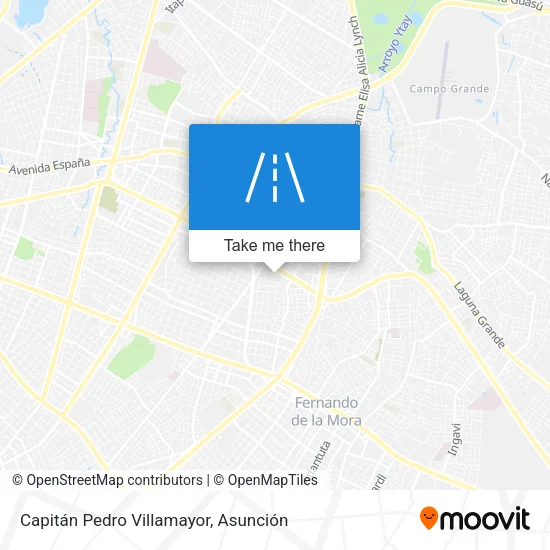Mapa de Capitán Pedro Villamayor