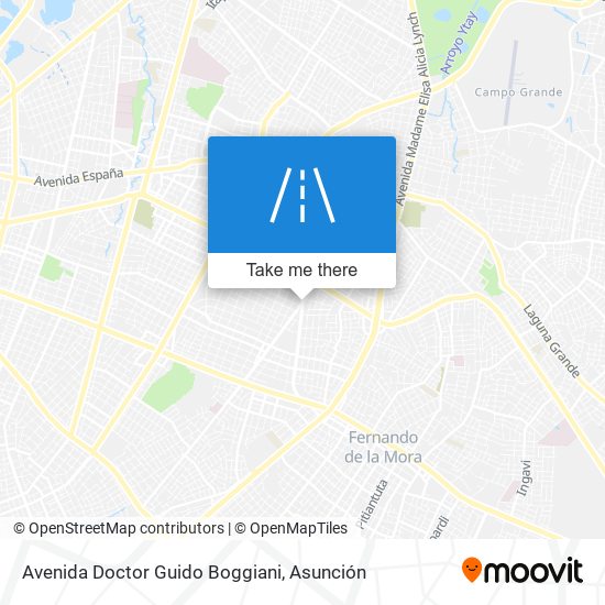 Mapa de Avenida Doctor Guido Boggiani