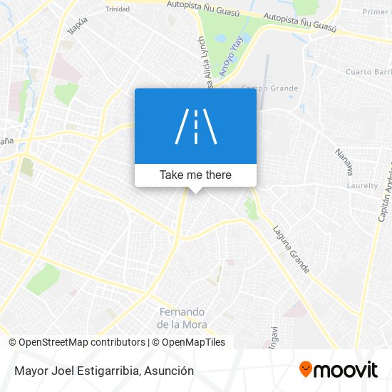 Mayor Joel Estigarribia map