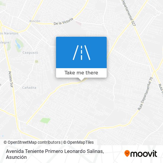 Avenida Teniente Primero Leonardo Salinas map