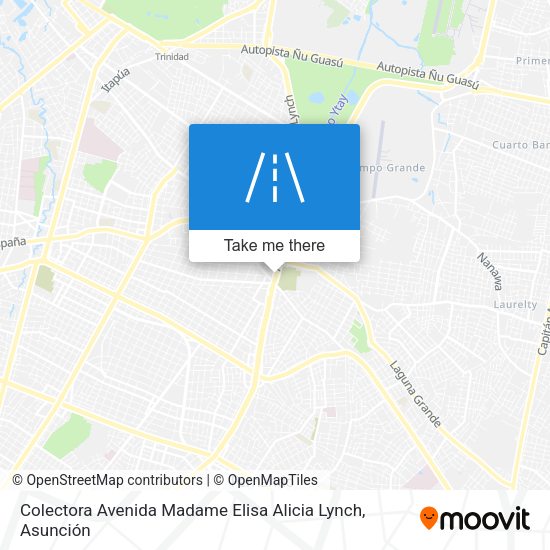 Colectora Avenida Madame Elisa Alicia Lynch map