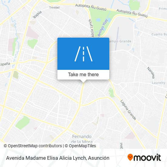 Avenida Madame Elisa Alicia Lynch map