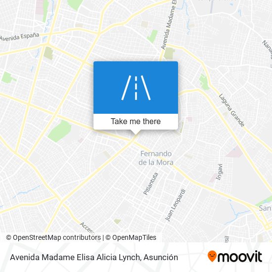 Avenida Madame Elisa Alicia Lynch map