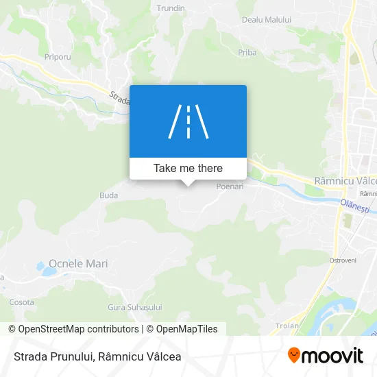 Strada Prunului map