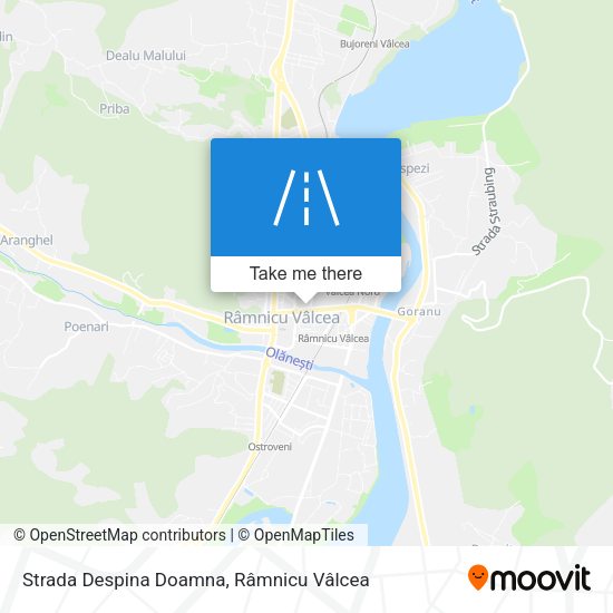 Strada Despina Doamna map