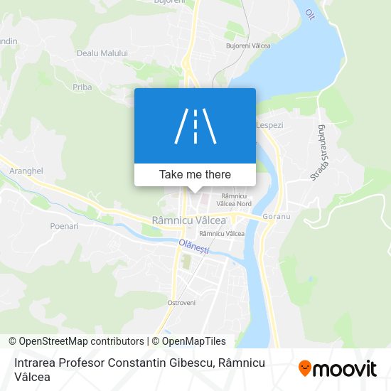 Intrarea Profesor Constantin Gibescu map