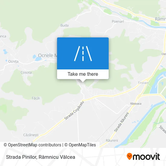 Strada Pinilor map