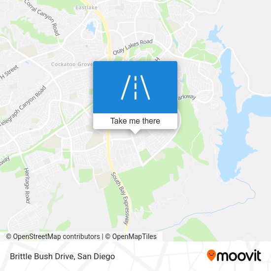 Brittle Bush Drive map