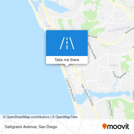Saltgrass Avenue map