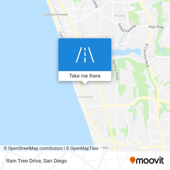 Rain Tree Drive map