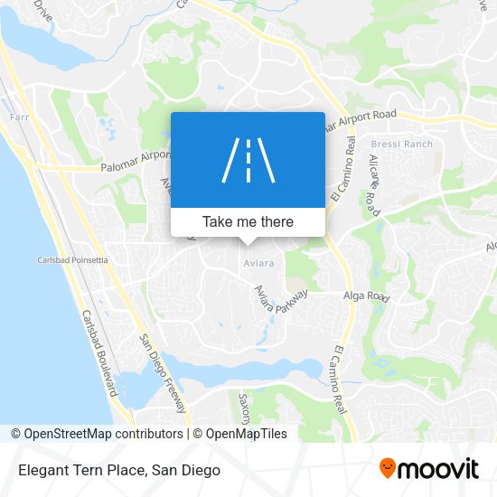 Elegant Tern Place map