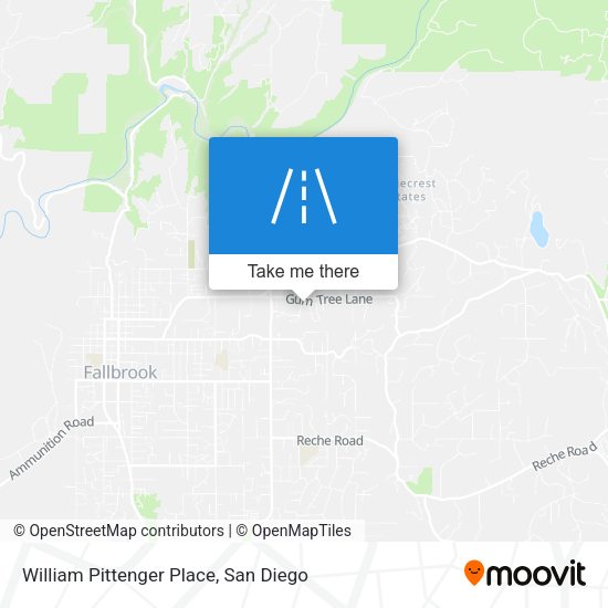 William Pittenger Place map