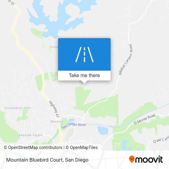 Mountain Bluebird Court map