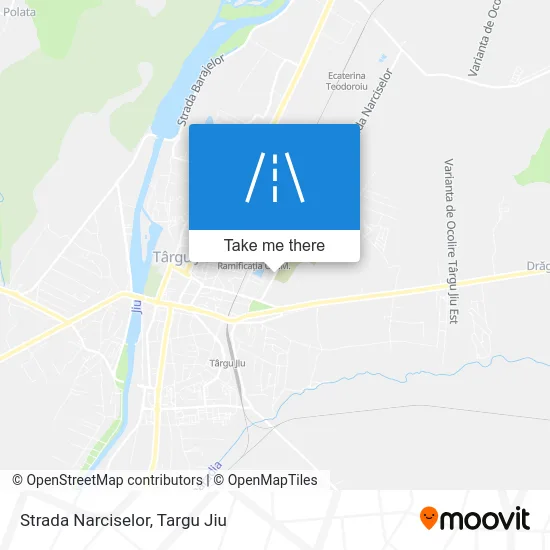 Strada Narciselor map