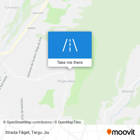 Strada Făget map