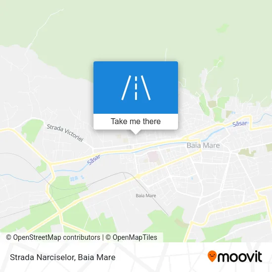 Strada Narciselor map