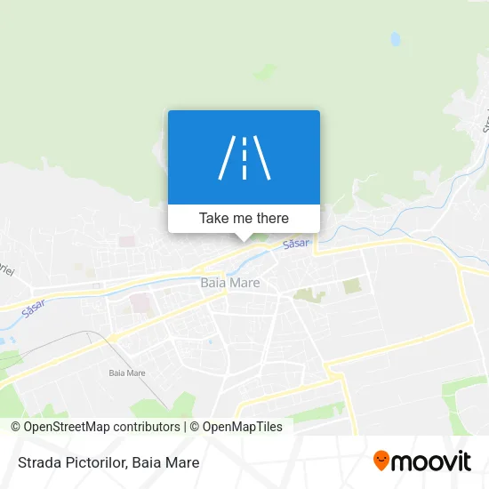 Strada Pictorilor map