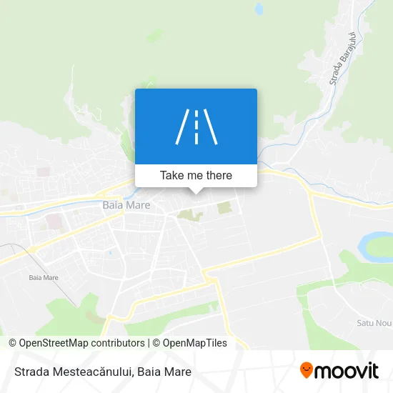 Strada Mesteacănului map