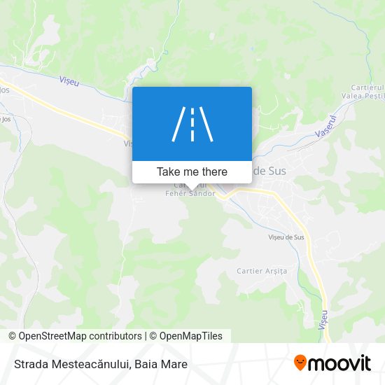 Strada Mesteacănului map