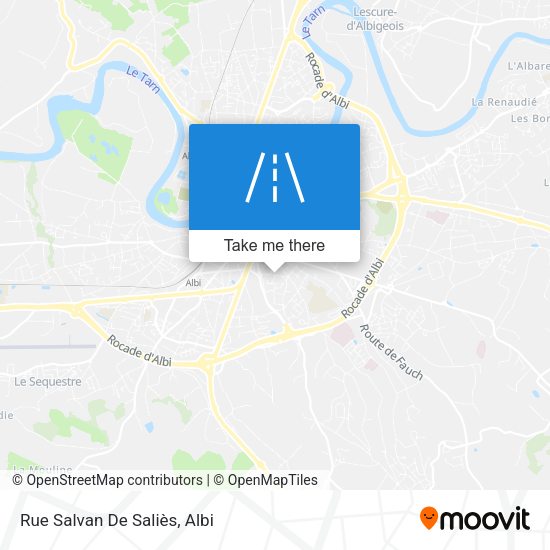 Rue Salvan De Saliès map