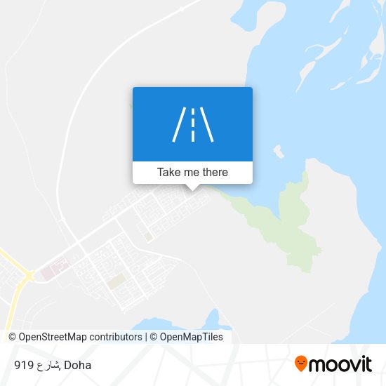 شارع 919 map