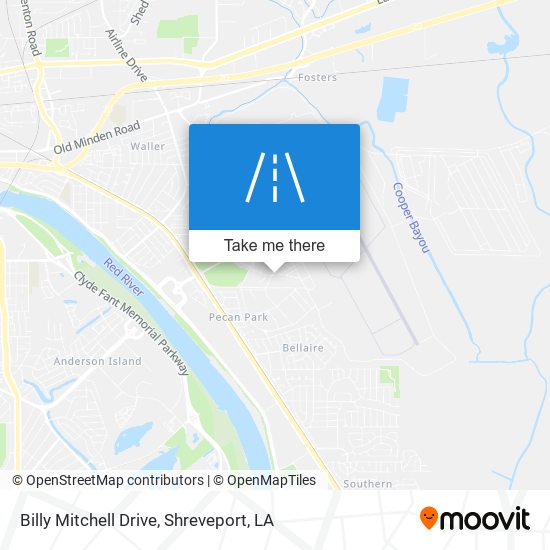 Billy Mitchell Drive map