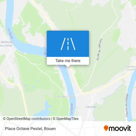 Place Octave Pestel map