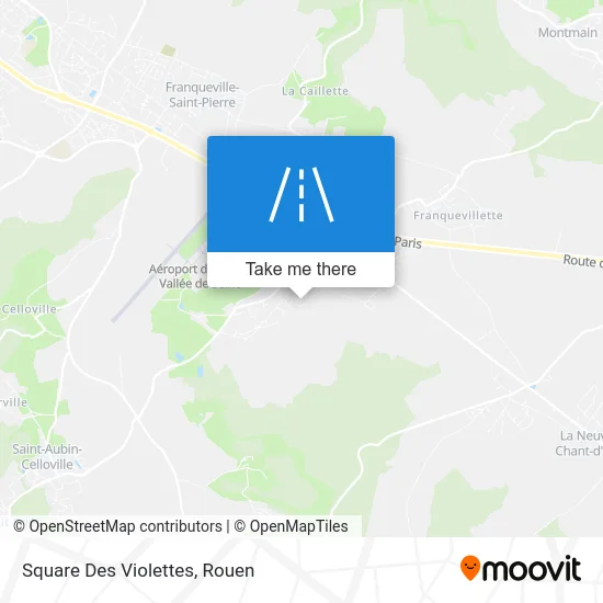 Square Des Violettes map