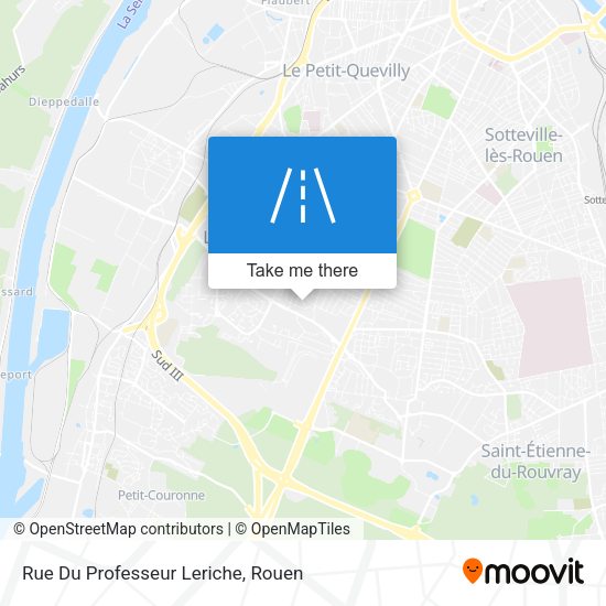 Rue Du Professeur Leriche map
