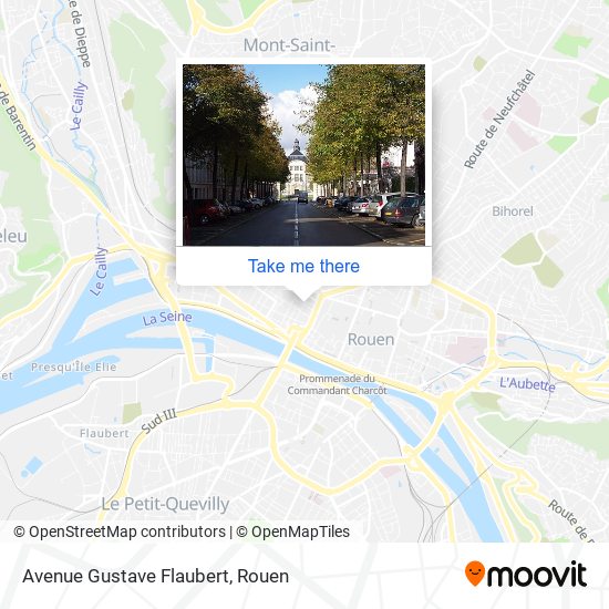 Mapa Avenue Gustave Flaubert