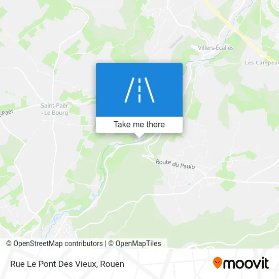 Rue Le Pont Des Vieux map