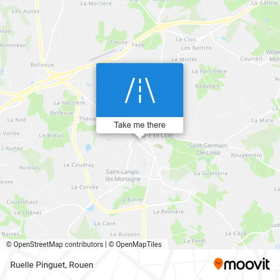 Ruelle Pinguet map