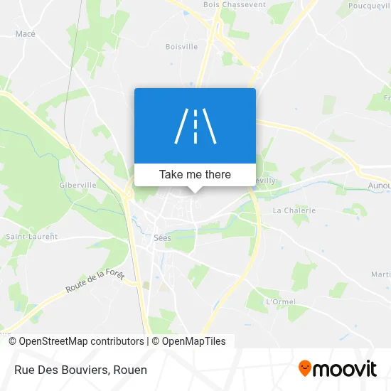 Rue Des Bouviers map