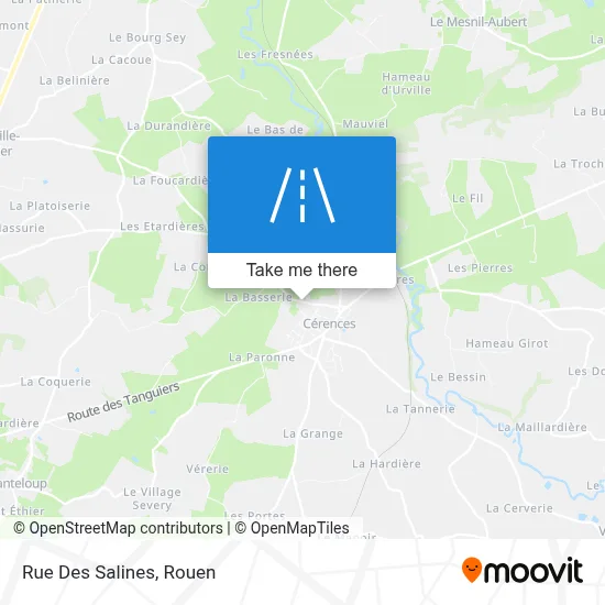 Rue Des Salines map