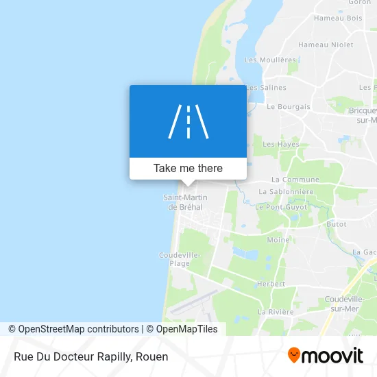 Rue Du Docteur Rapilly map