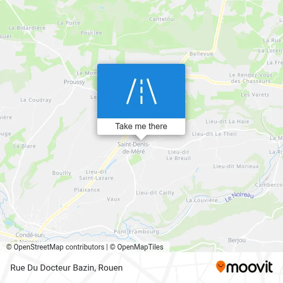 Rue Du Docteur Bazin map