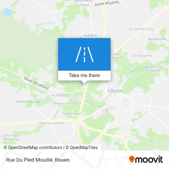 Mapa Rue Du Pied Mouillé
