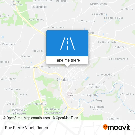 Rue Pierre Vibet map