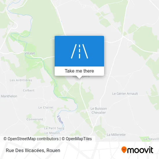 Rue Des Ilicacées map