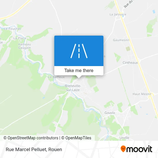 Rue Marcel Pelluet map