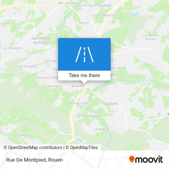 Rue De Montpied map