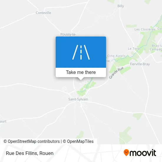 Rue Des Filins map