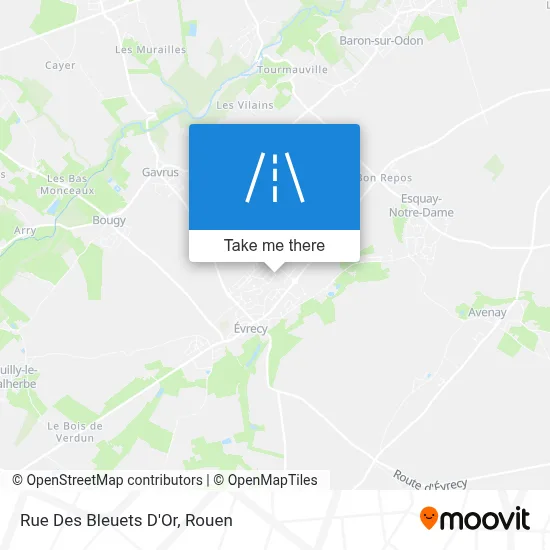 Rue Des Bleuets D'Or map