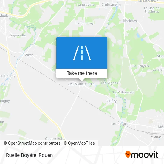 Ruelle Boyére map