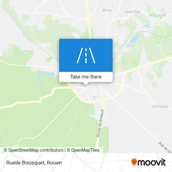 Ruelle Bousquet map